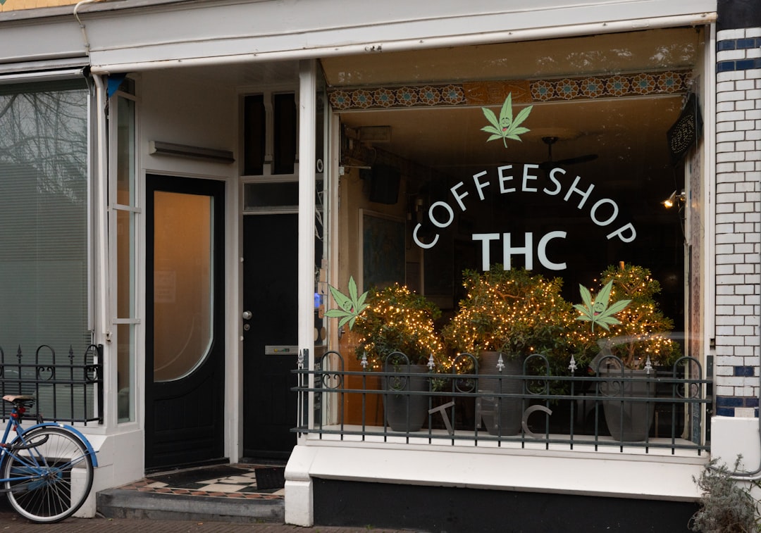 Gemeinschaftlicher Treffpunkt – Cannabis Social Club in Berlin
